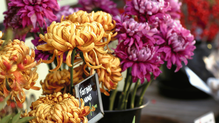 Flower Shops