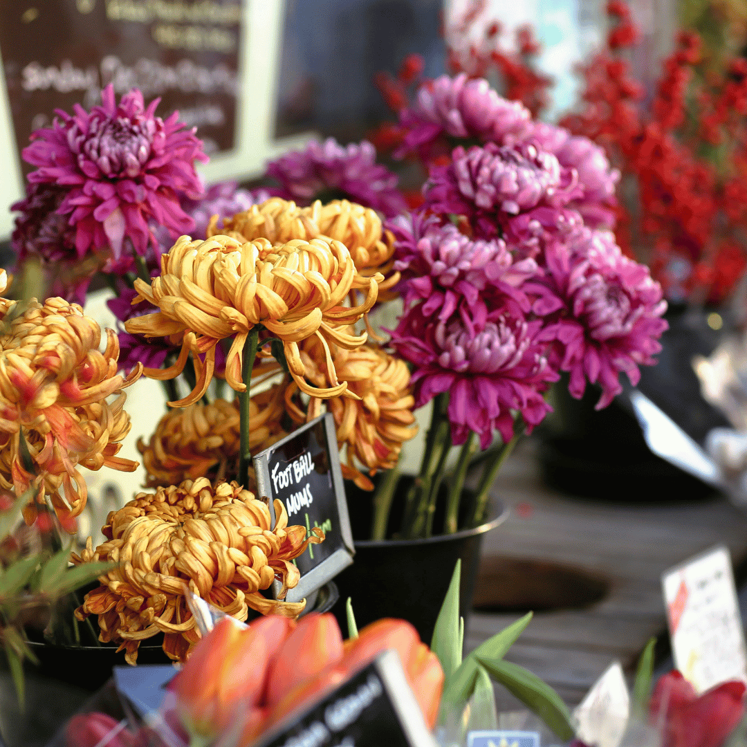 Flower Shops